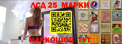 прущие крисы Моздок