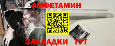 прущие грибы Нальчик