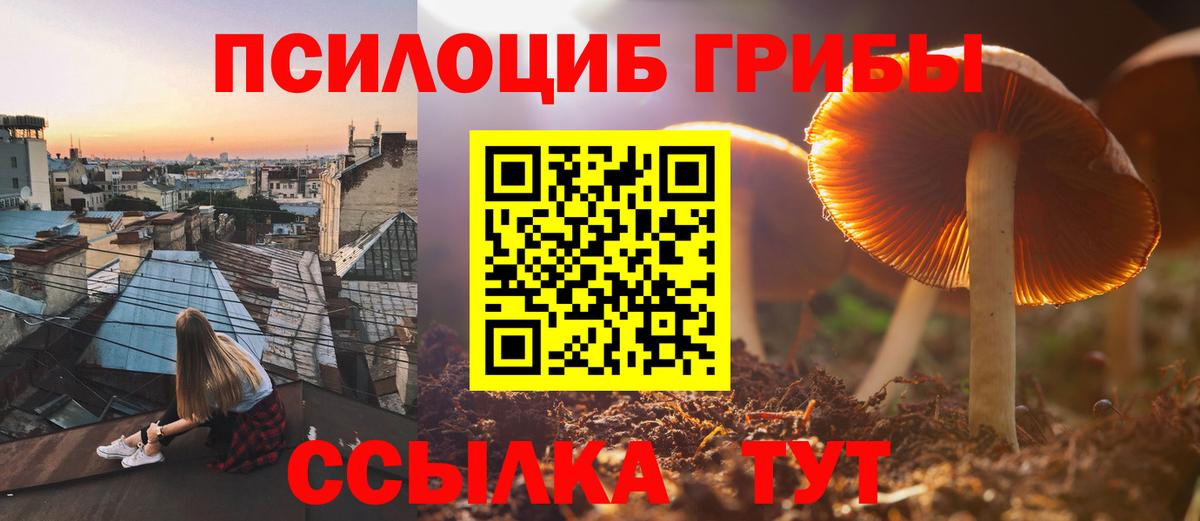 Сосновоборск  Галлюциногенные грибы мухоморы  Галлюциногенные грибы Psilocybine cubensis  Вход с VPN 