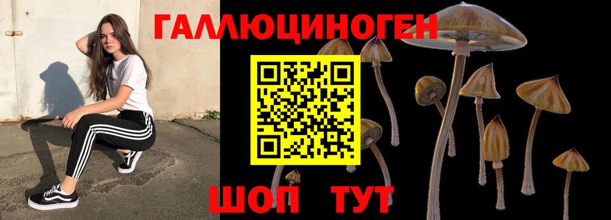 Галлюциногенные грибы прущие грибы Сосновоборск
